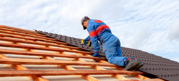 Best Asphalt Shingles Roofing  in Corning, IA