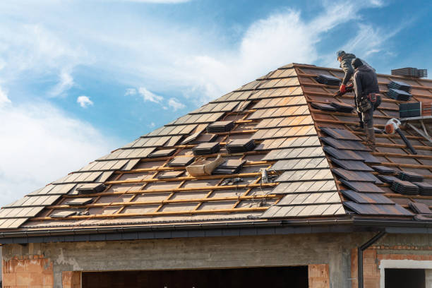 Best Roof Moss and Algae Removal  in Corning, IA